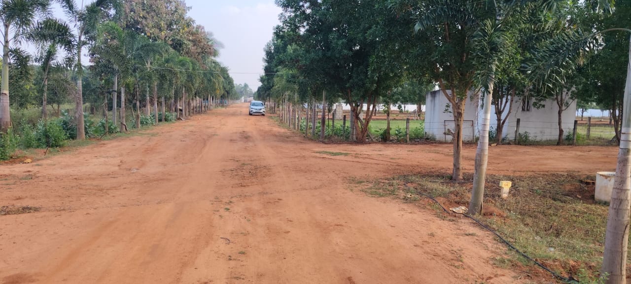 CRDA Approved open plots for sale in Nuzivedu